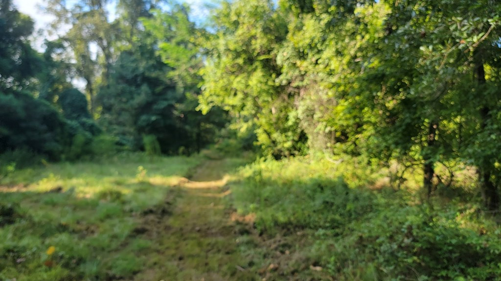 103 Deer Lake Road Natchez, MS 39120 - Photo 2 of 30 Photo 2