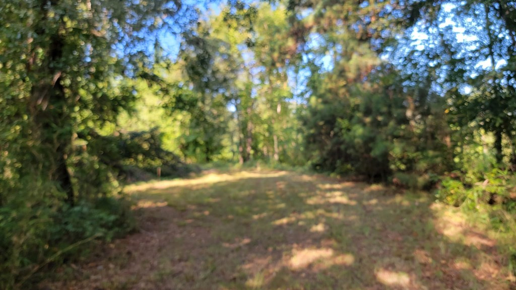 103 Deer Lake Road Natchez, MS 39120 - Photo 22 of 30 Photo 22