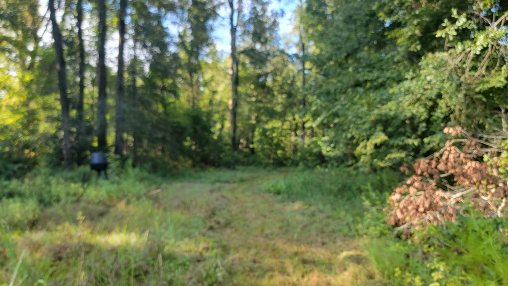 103 Deer Lake Road Natchez, MS 39120 - Photo 23 of 30 Photo 24