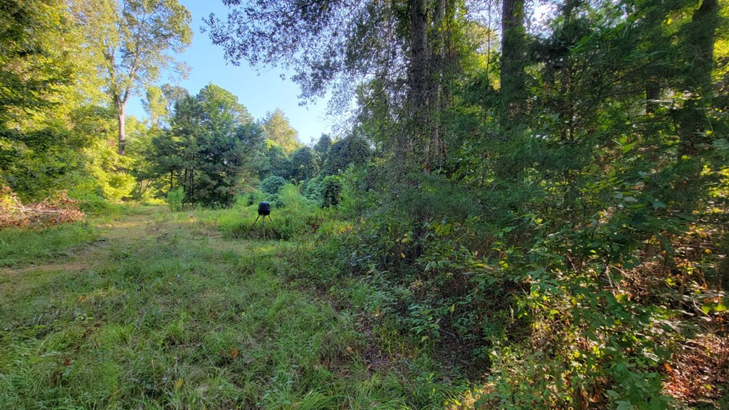 103 Deer Lake Road Natchez, MS 39120 - Photo 24 of 30 Photo 25
