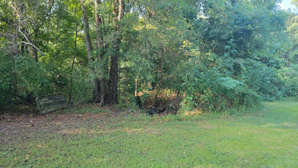 103 Deer Lake Road Natchez, MS 39120 - Photo 25 of 30 Photo 26
