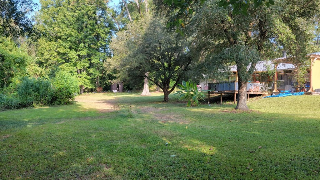 103 Deer Lake Road Natchez, MS 39120 - Photo 5 of 30 Photo 5