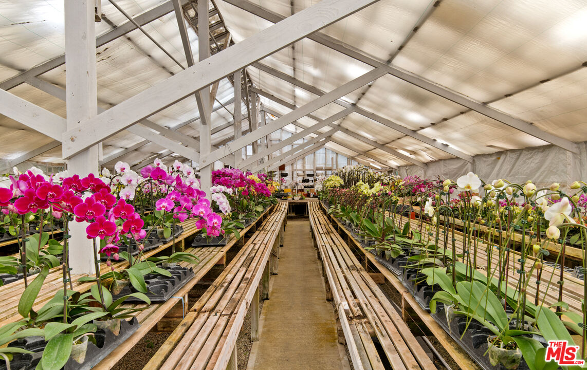 5949 Bonsall Drive Malibu, CA 90265 - Photo 11 of 14