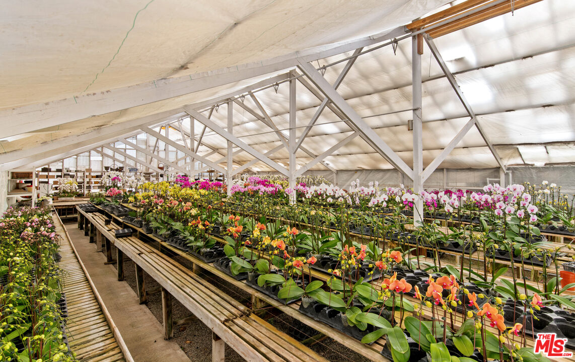 5949 Bonsall Drive Malibu, CA 90265 - Photo 12 of 14 a bunch of flowers are in a rack