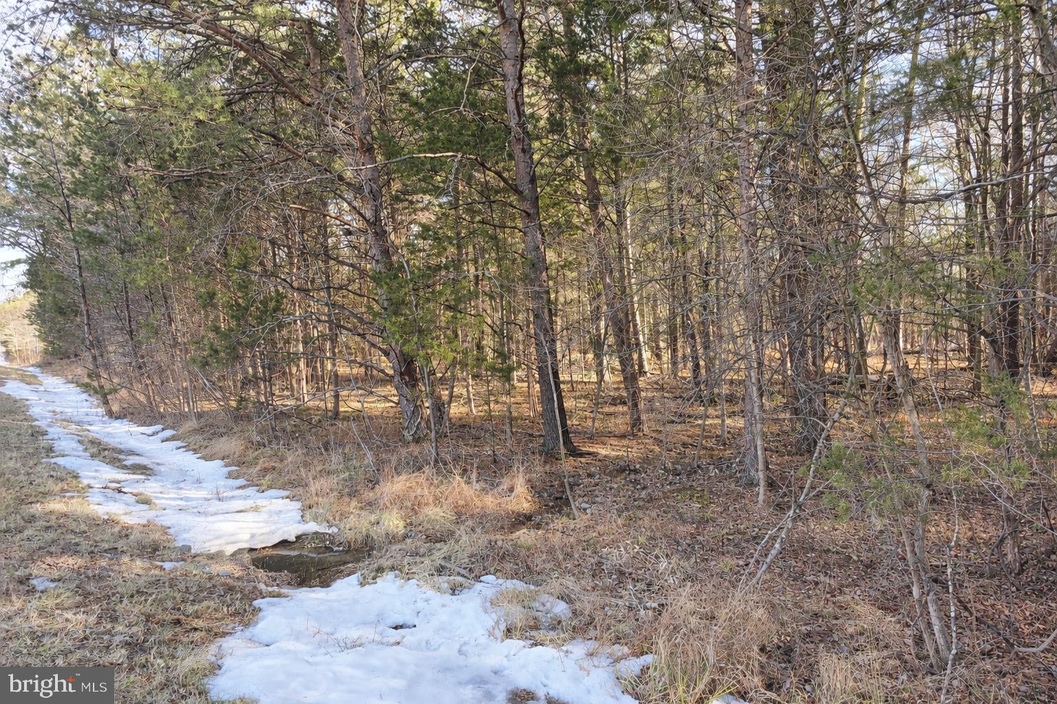 16601 Gaines Road Broad Run, VA 20137 - Photo 7 of 7