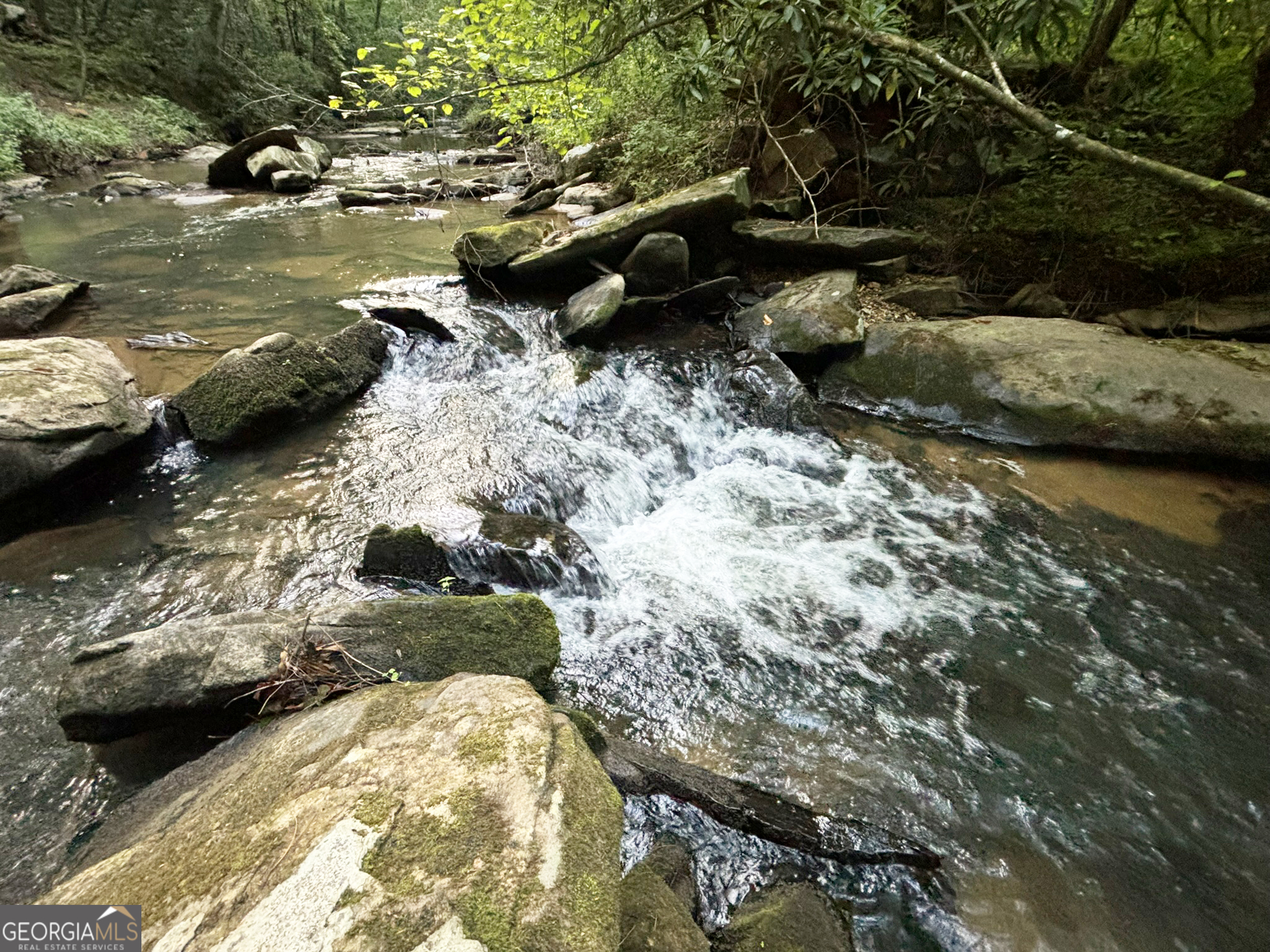 Lot 14 Mcafee Knob Road Ellijay, GA 30540 - Photo 1 of 1 Gallery Image 1