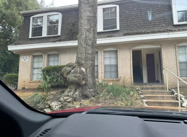 $1,195 | 2020 Continental Avenue, Unit 221, Tallahassee, FL 32304