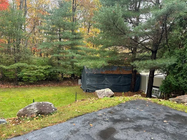 a view of a backyard with potted plants and large trees