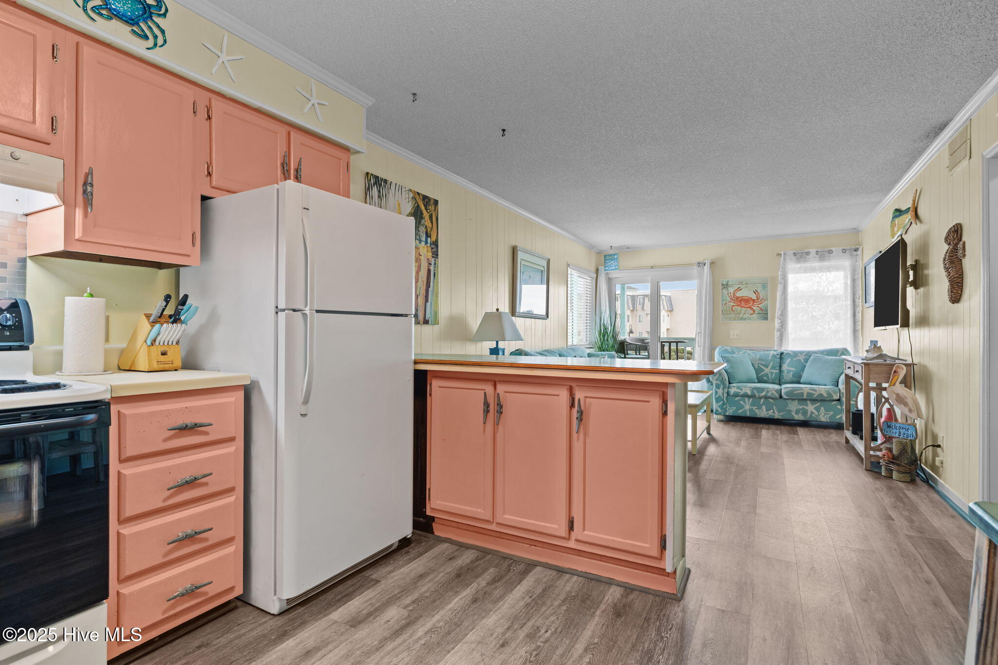 301 Commerce Way, Unit 110 Atlantic Beach, NC 28512 - Photo 2 of 16 Kitchen