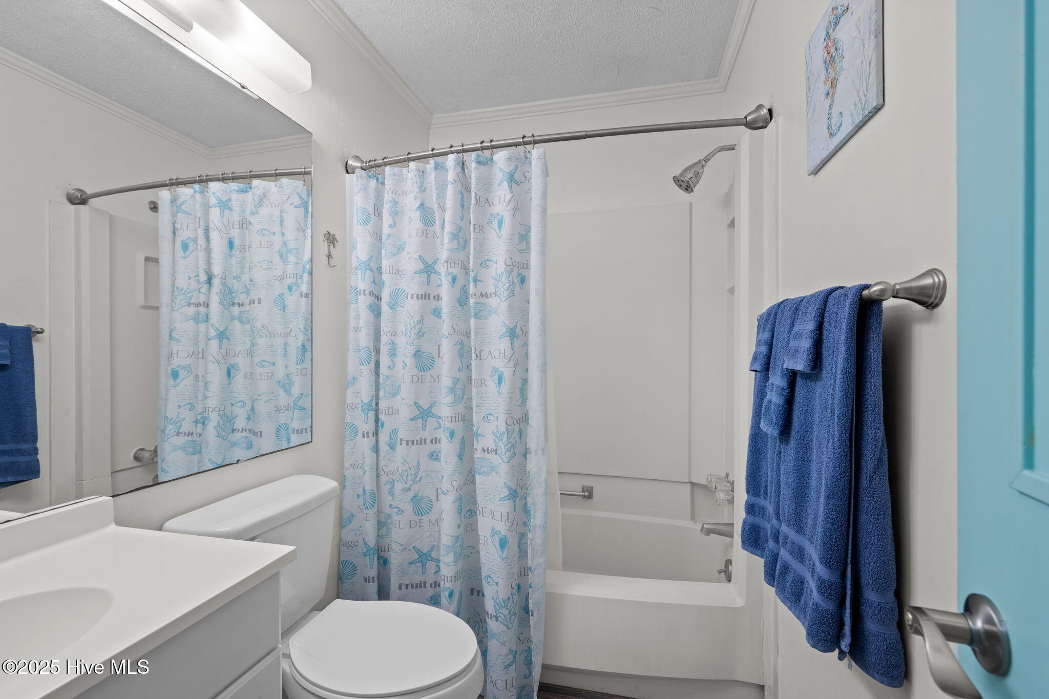 301 Commerce Way, Unit 110 Atlantic Beach, NC 28512 - Photo 6 of 16 Hallway bath