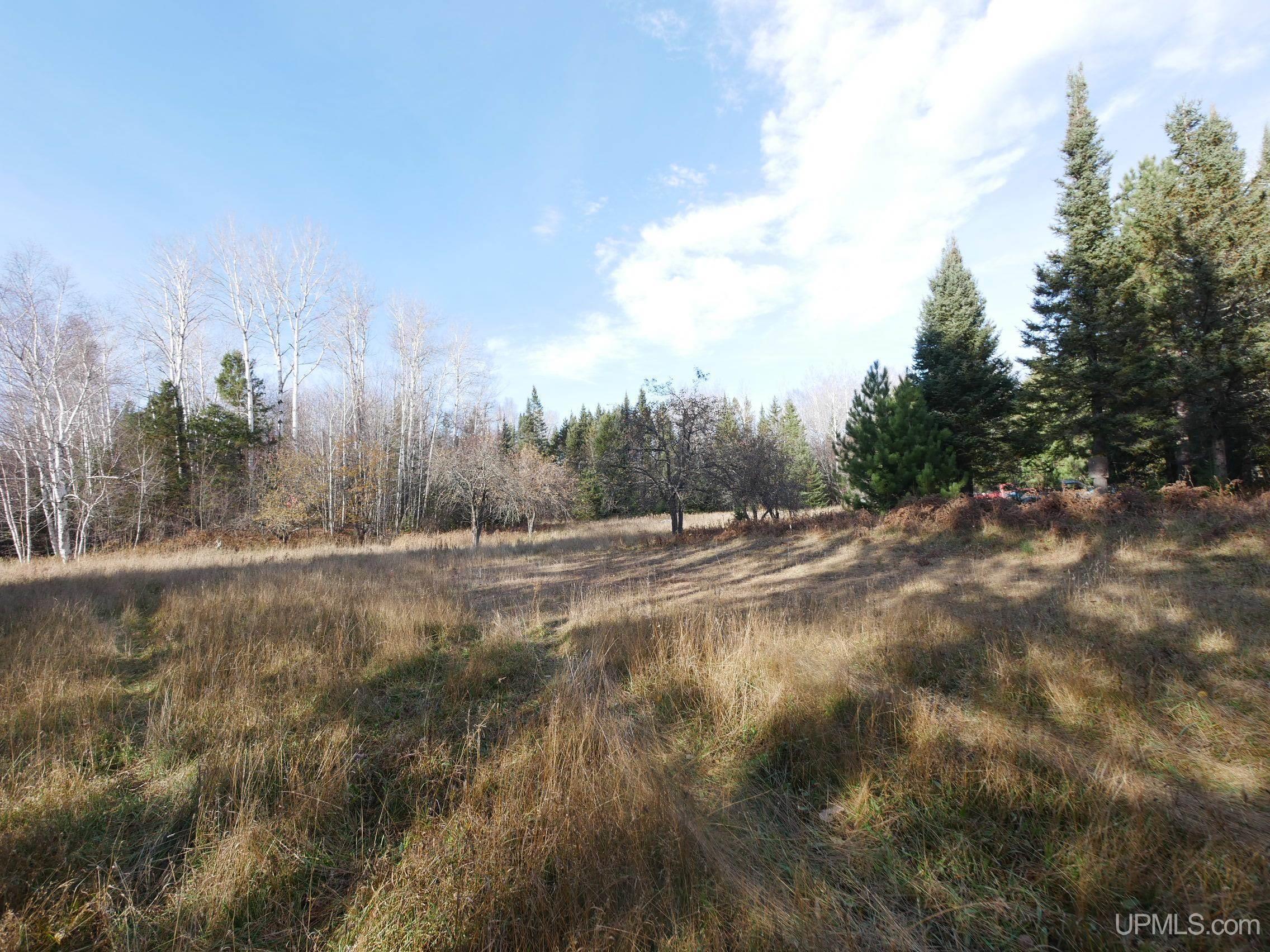 Tbd Tbd Asumaa Road Atlantic Mine, MI 49905 - Photo 12 of 39 Gallery Image 12