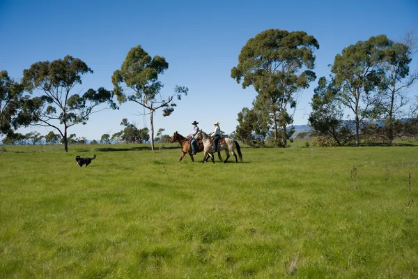 $70,000,000 | 1000 Calle Real, Goleta, CA 93117