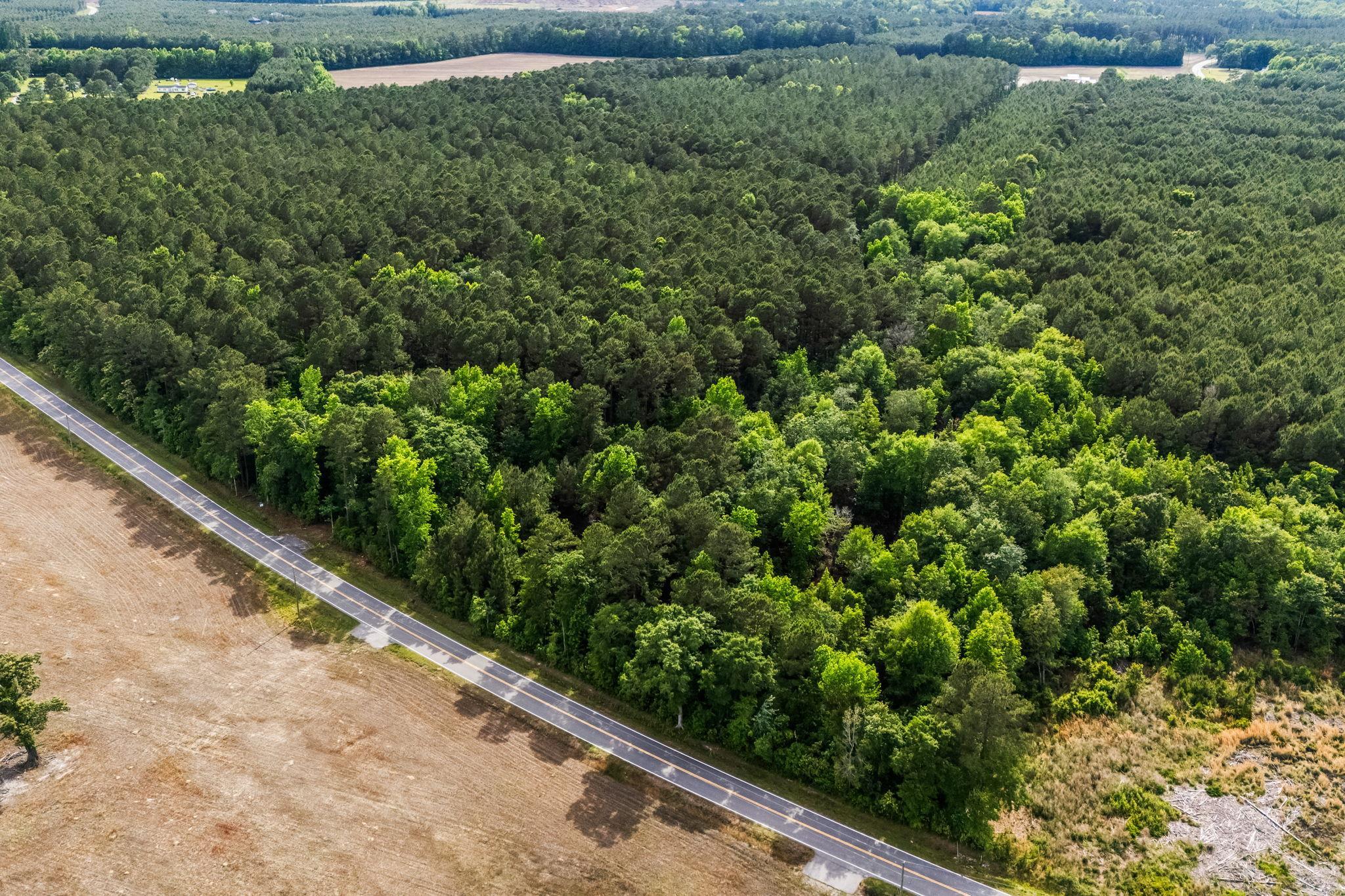 2850 Gause Road Loris, SC 29569 - Photo 6 of 24