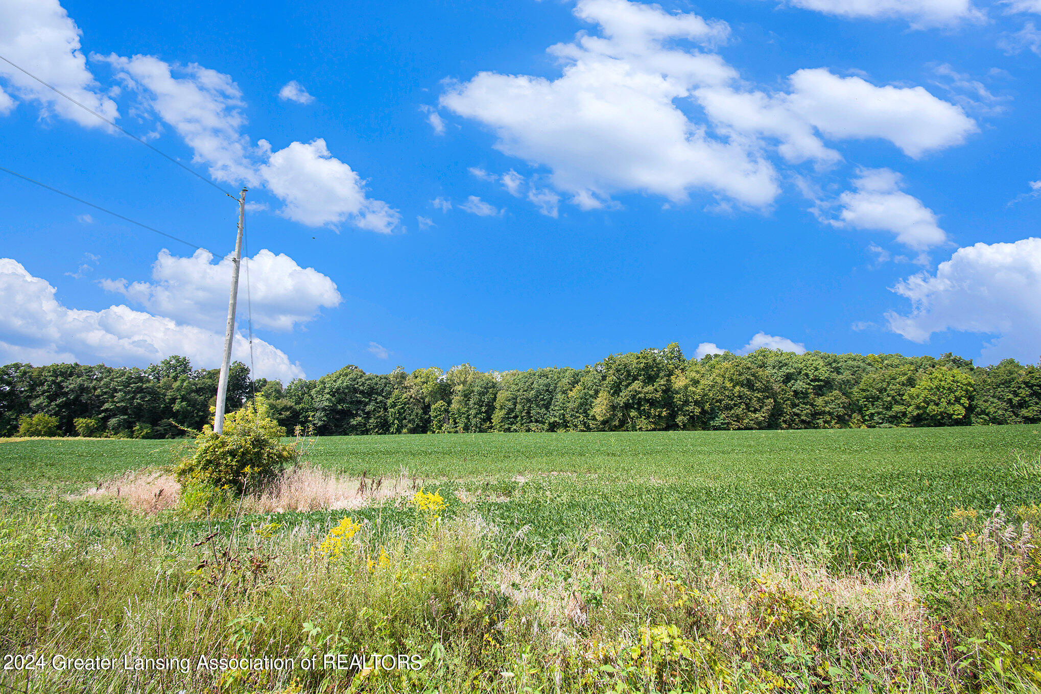 0 Springport Road Eaton Rapids, MI 48827 - Photo 7 of 18 004_ndp9135