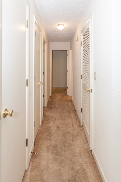 113 Turtle Creek Road, Unit 7 Charlottesville, VA 22901 - Photo 14 of 32 a view of a hallway with wooden floor and closet