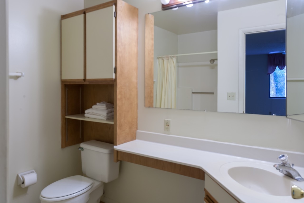 113 Turtle Creek Road, Unit 7 Charlottesville, VA 22901 - Photo 16 of 32 a bathroom with a sink toilet and vanity