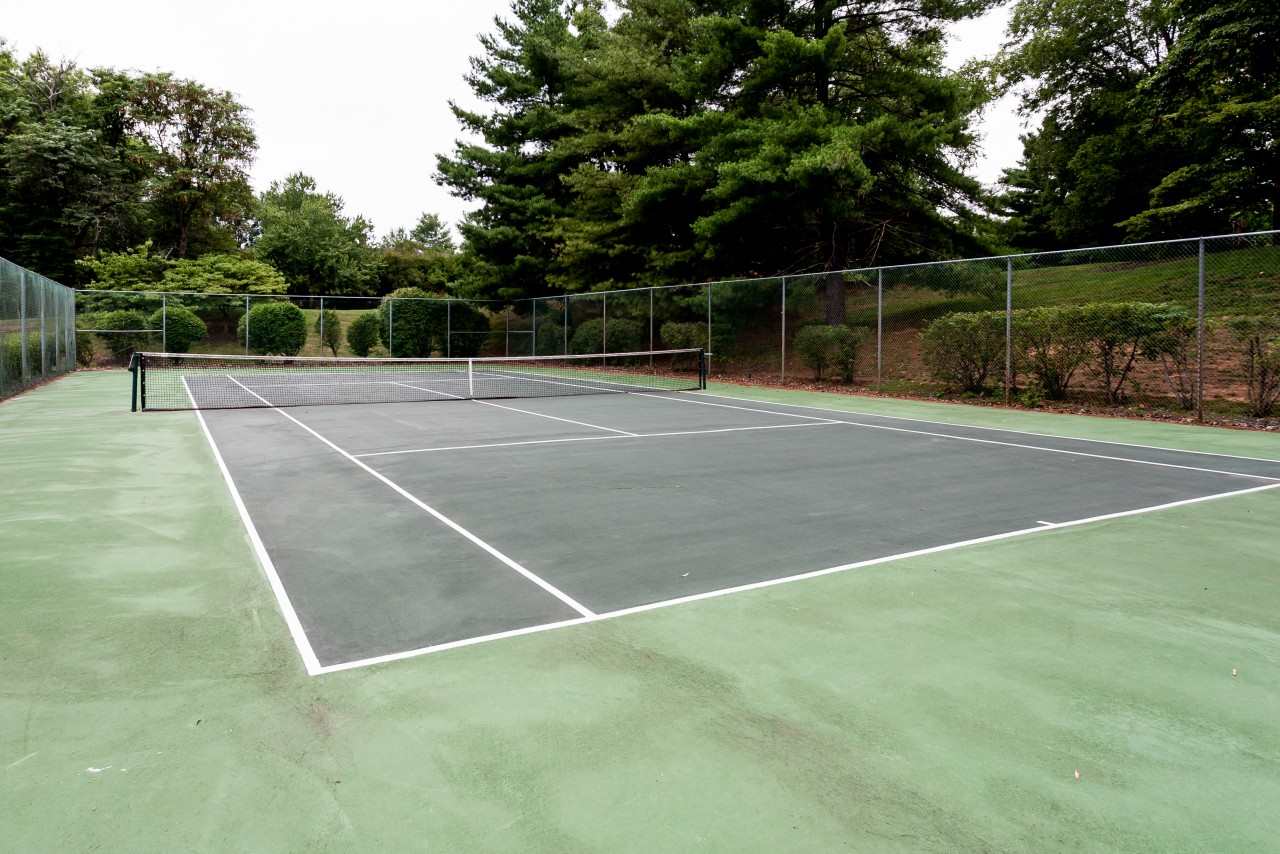 113 Turtle Creek Road, Unit 7 Charlottesville, VA 22901 - Photo 24 of 32 a view of a tennis court