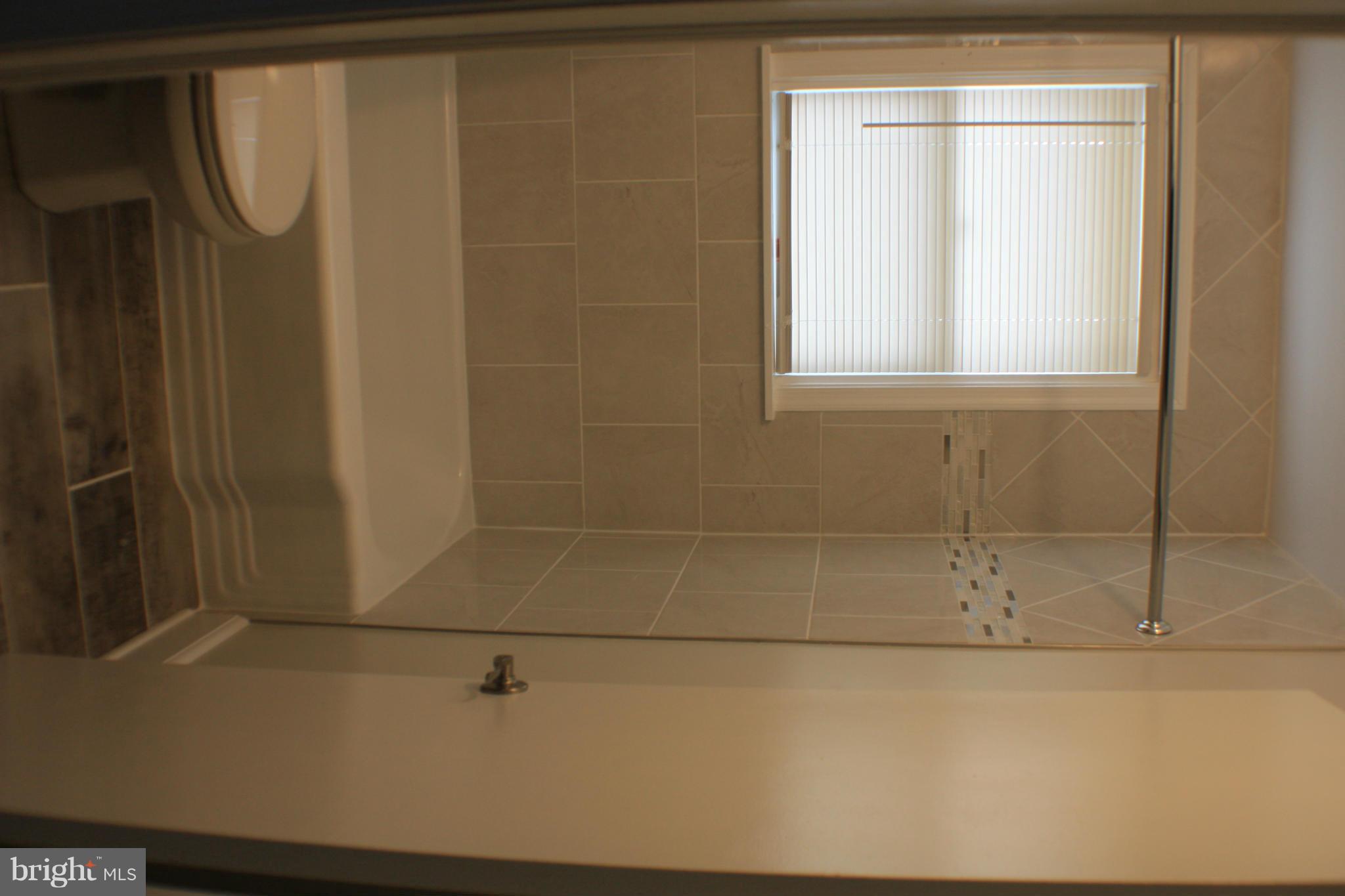 362 Grovethorn Road Baltimore, MD 21220 - Photo 12 of 14 a bathroom with a shower