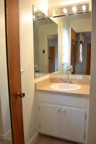4829 McGahee Road Evans, GA 30809 - Photo 12 of 30 Bathroom