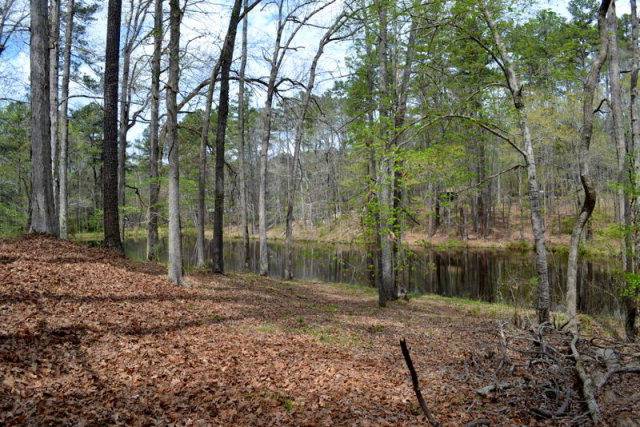 4829 McGahee Road Evans, GA 30809 - Photo 24 of 30 Private Pond