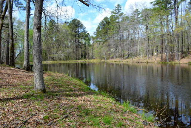 4829 McGahee Road Evans, GA 30809 - Photo 25 of 30 Private pond