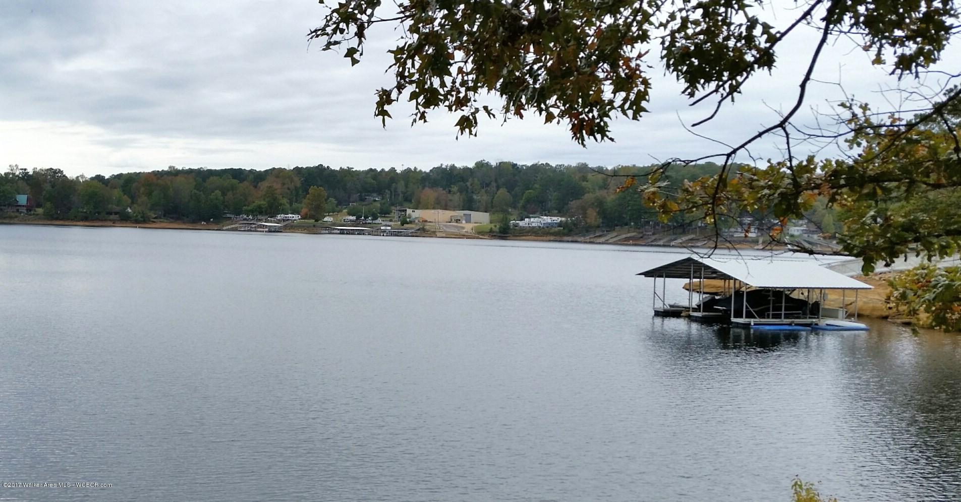 Lot 41 Co Road Crane Hill, AL 35053 - Photo 2 of 11 Gallery Image 2