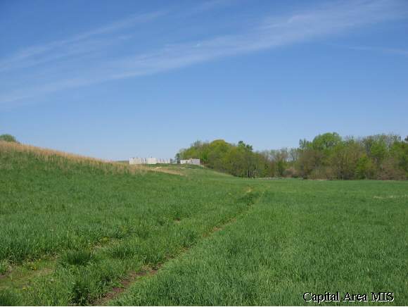 30831 Rupple Road Petersburg, IL 62675 - Photo 1 of 5 Gallery Image 1