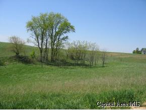 30831 Rupple Road Petersburg, IL 62675 - Photo 3 of 5 Gallery Image 3