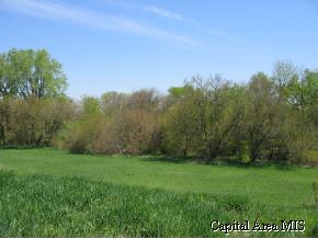 30831 Rupple Road Petersburg, IL 62675 - Photo 4 of 5 Gallery Image 4