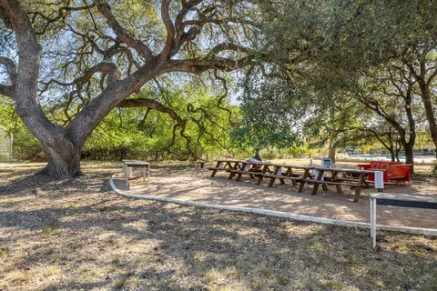a view of backyard with trees