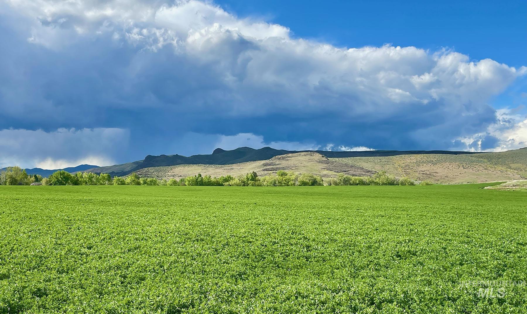 428 Cutoff Road Carey, ID 83320 - Photo 46 of 50