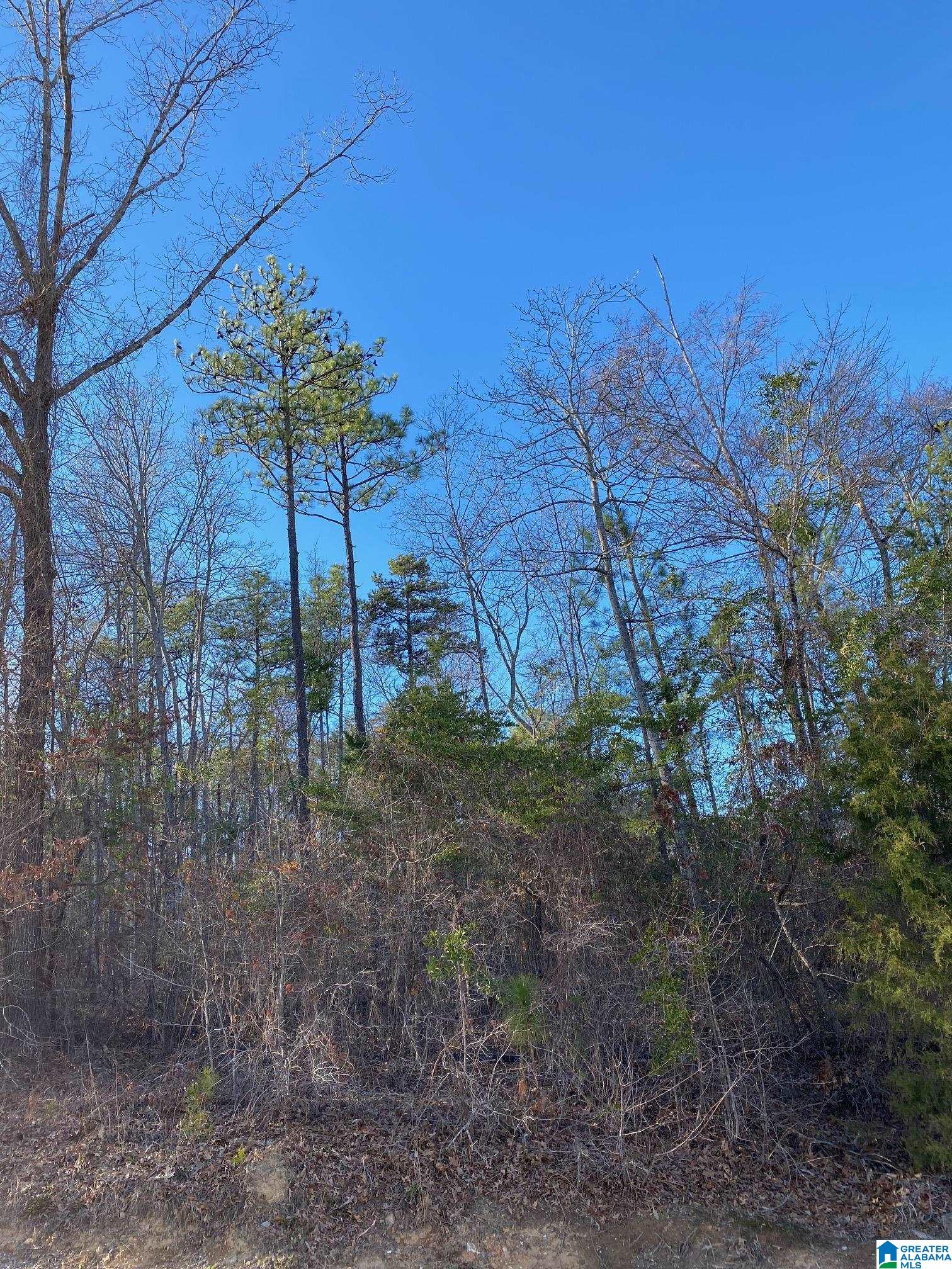 218 Foxtail Path, Unit 11F Sterrett, AL 35147 - Photo 5 of 5