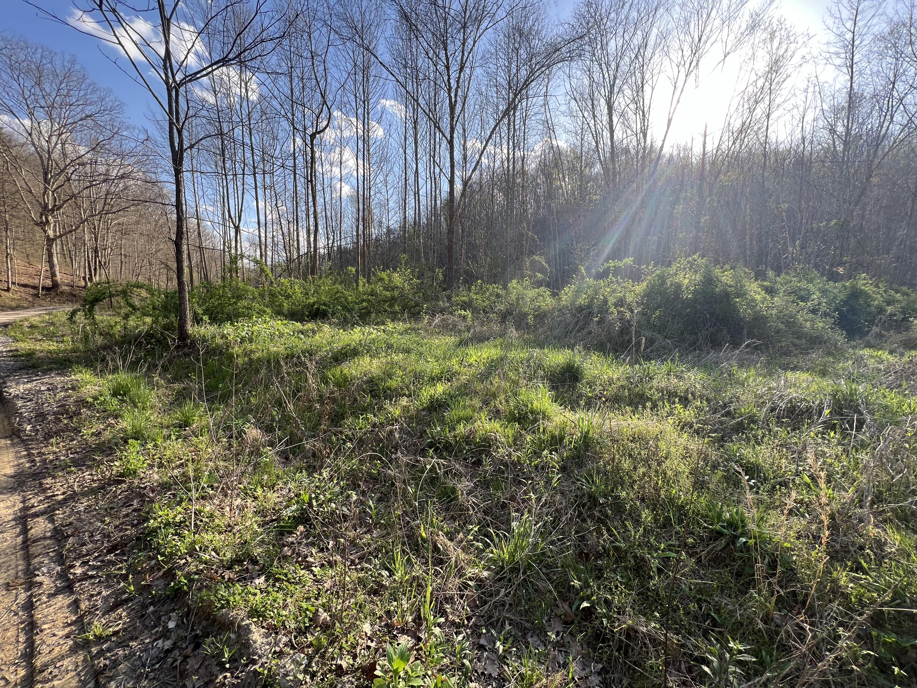 2000 Tbd Stamper Branch Campton, KY 41301 - Photo 1 of 47 Photo Apr 15, 6 06 30 PM