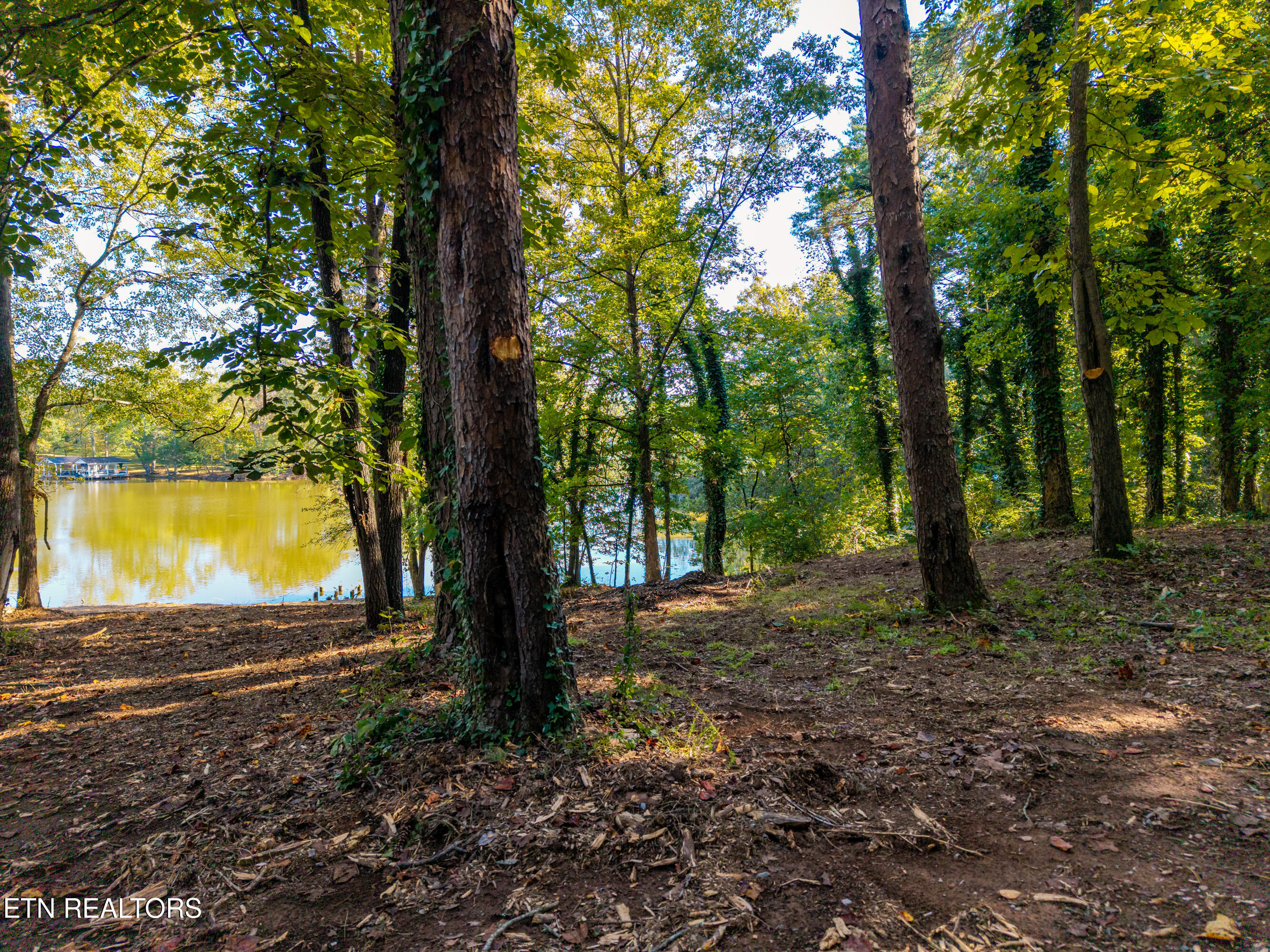 Devault Road Louisville, TN 37777 - Photo 8 of 22 DevaultRd-4