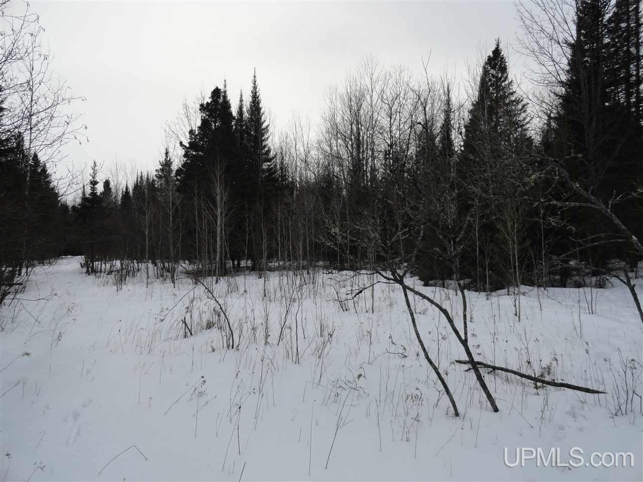 416 (23rd Road Gladstone, MI 49837 - Photo 30 of 36