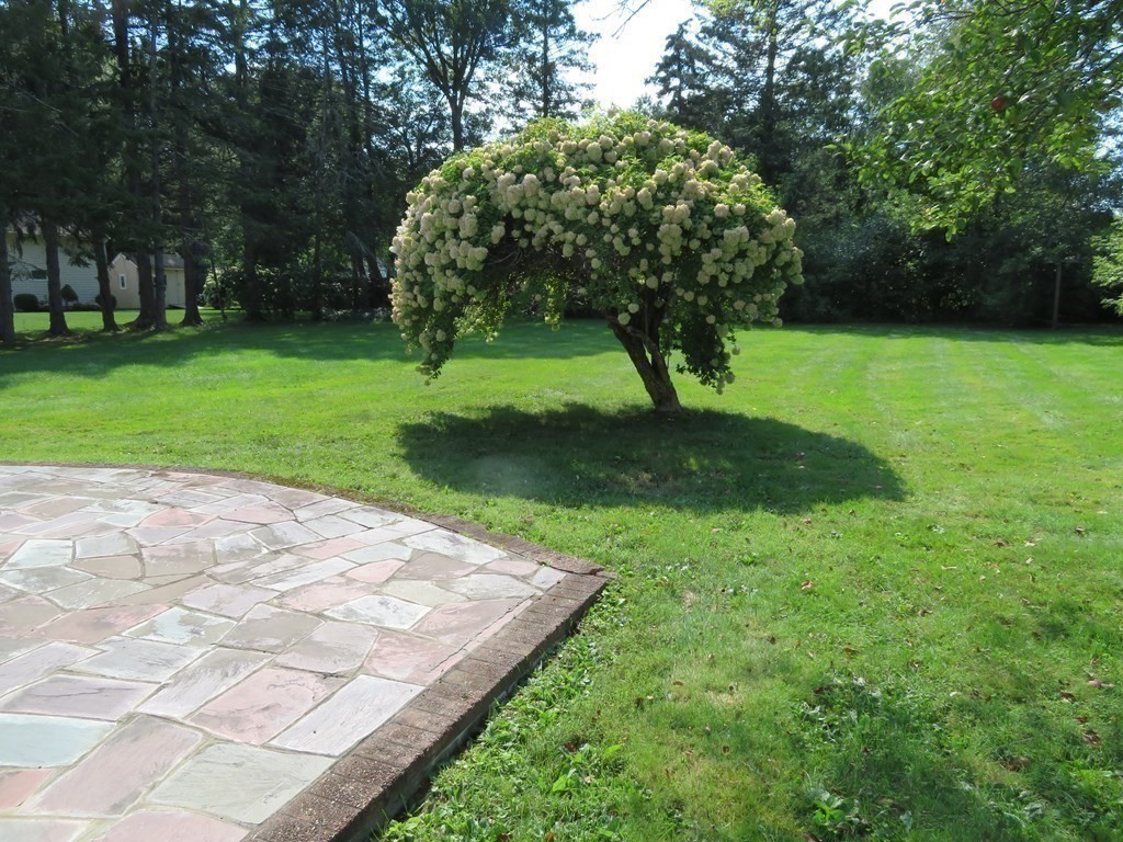 28 Doris Road Framingham, MA 01701 - Photo 20 of 23
