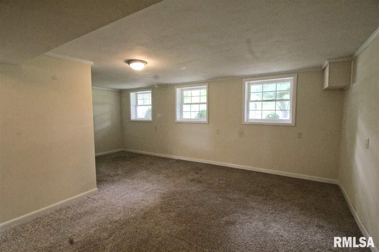 804 Linden Street Delavan, IL 61734 - Photo 21 of 33 Gallery Image 21