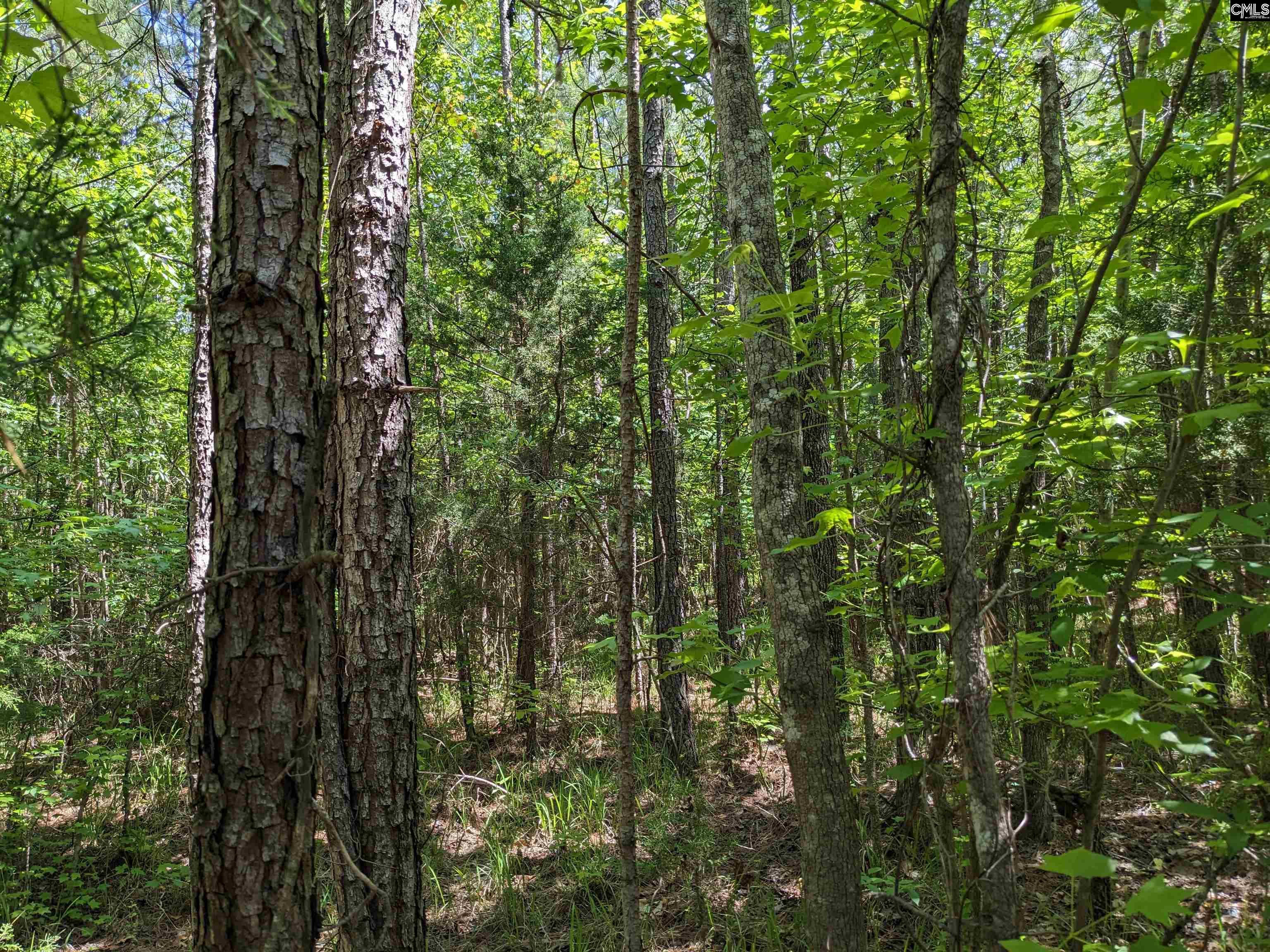 Jewel Drive Ridgeway, SC 29130 - Photo 15 of 20