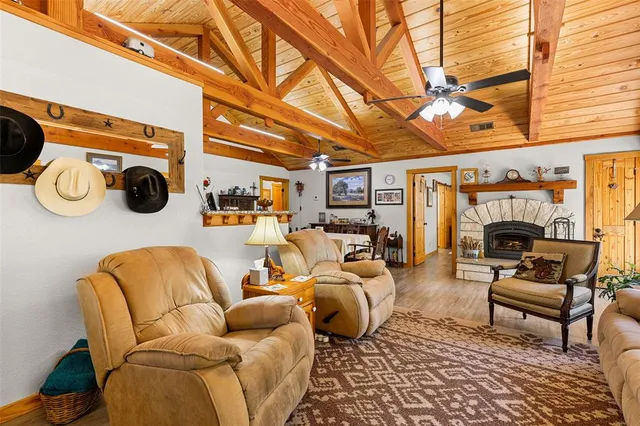 a living room with furniture a rug and a fireplace