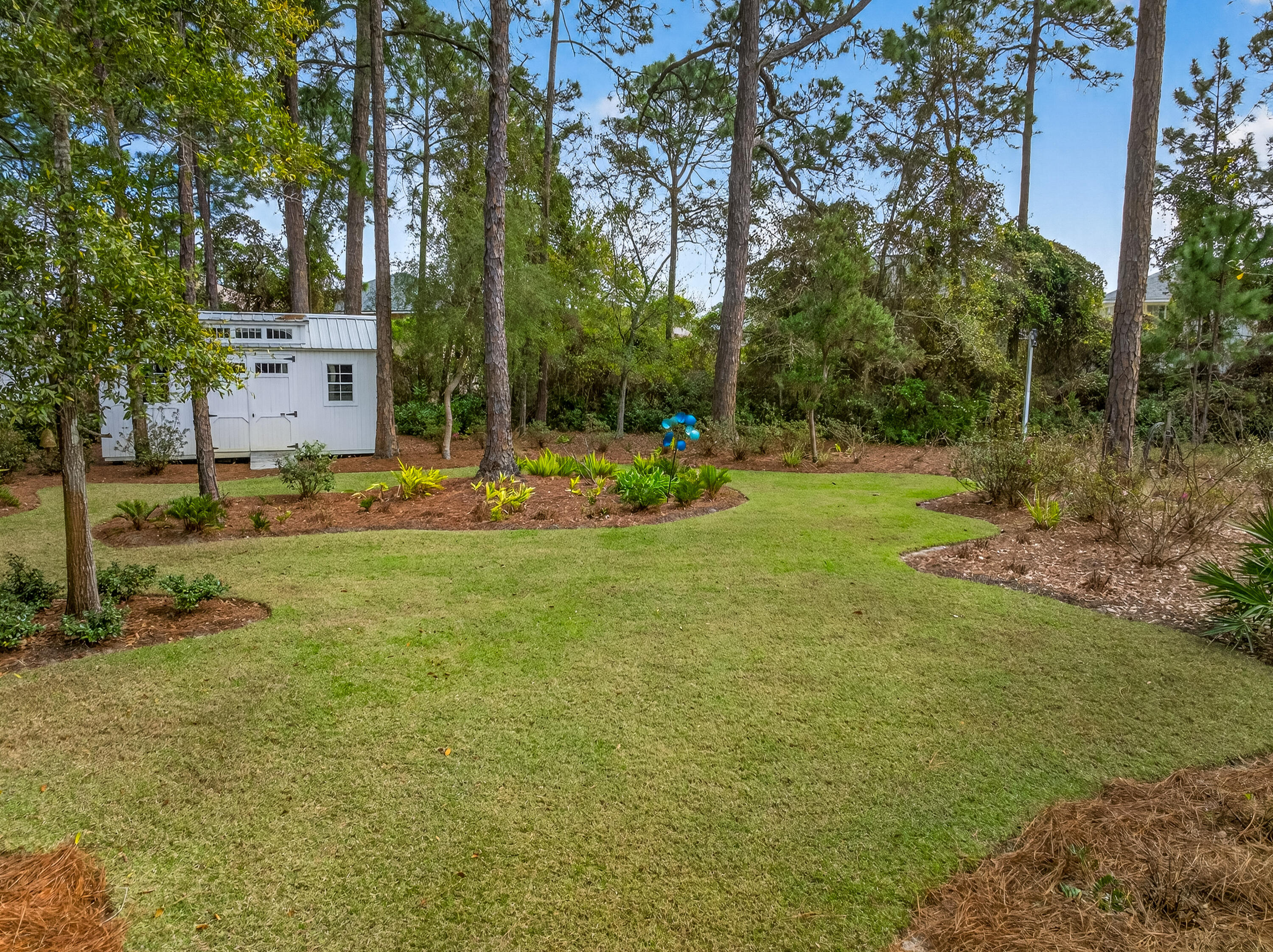 726 Driftwood Point Road Santa Rosa Beach, FL 32459 - Photo 24 of 70 Backyard