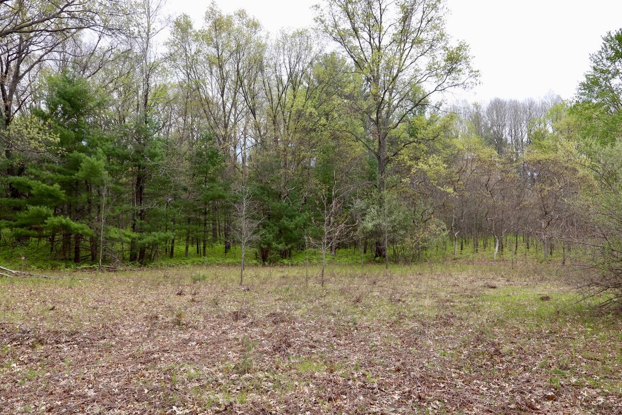 6153 South Branch Road Branch, MI 49402 - Photo 63 of 70 56
