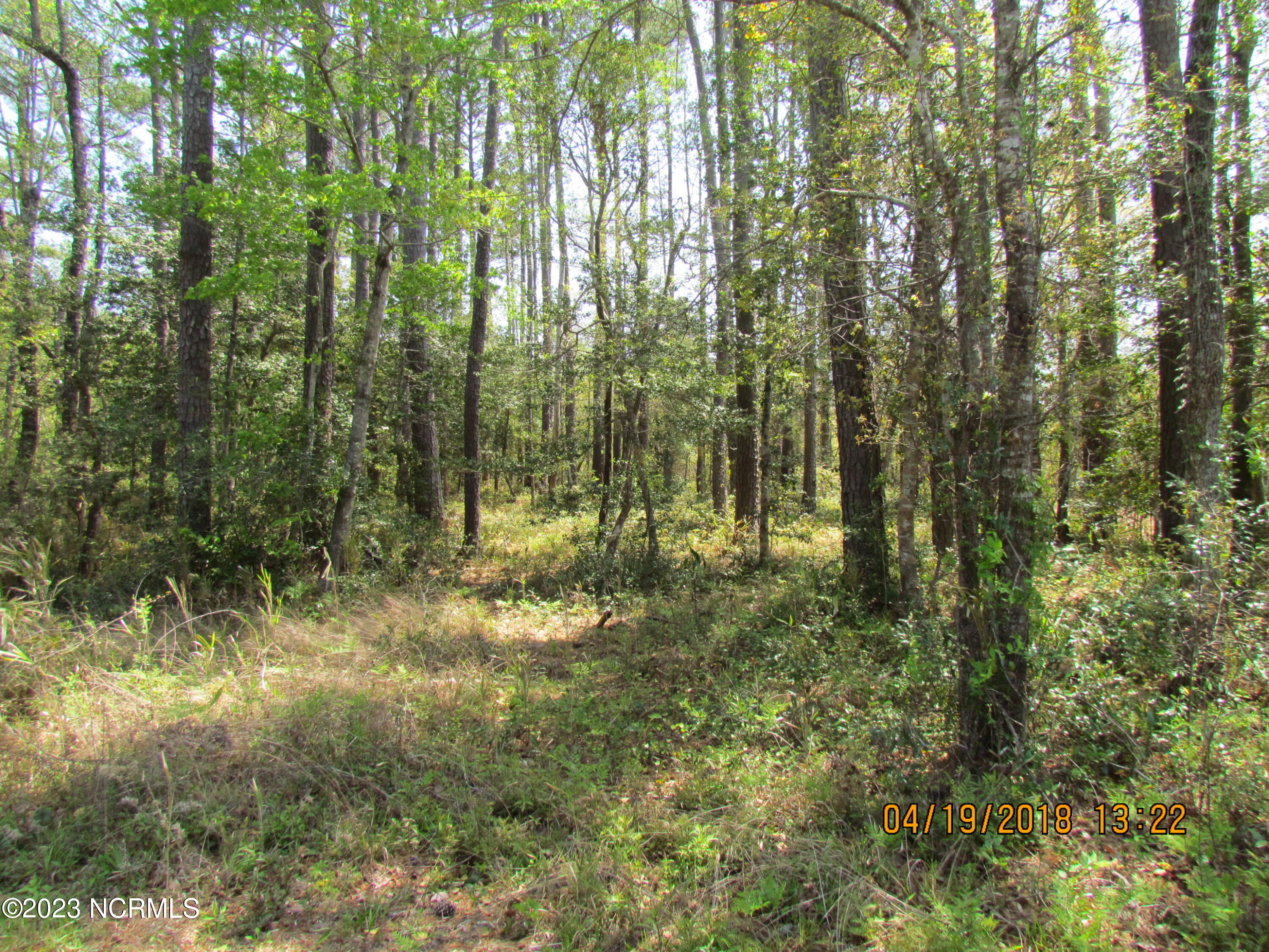 774 Straits Road Gloucester, NC 28528 - Photo 2 of 2 IMG_1337