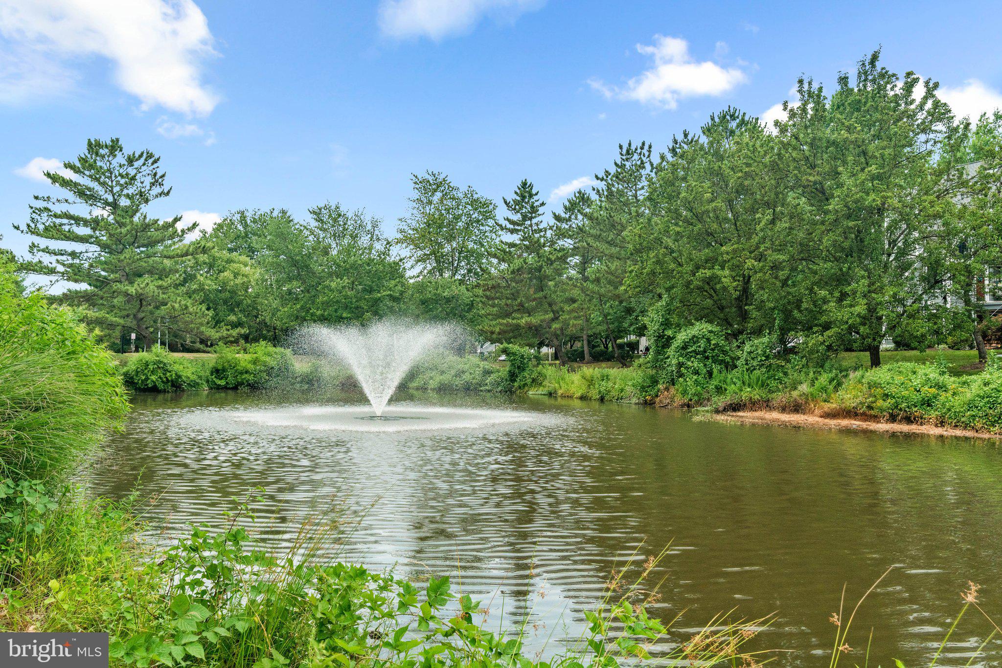 6008 Bingley Road Alexandria, VA 22315 - Photo 27 of 39 Gorgeous lake views around the community