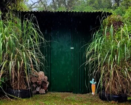 a view of a backyard