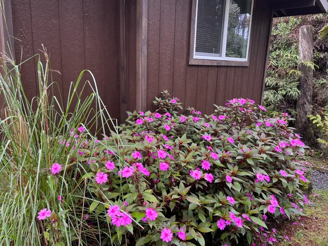 $190,000 | 11-2769 Lehua Street, Mountain View, HI 96771