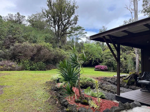 a view of a backyard with potted plants