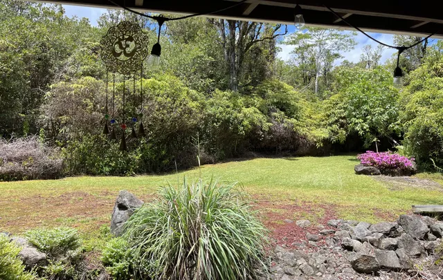 a view of a yard with potted plants