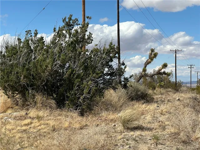 a view of a yard with an outdoor space