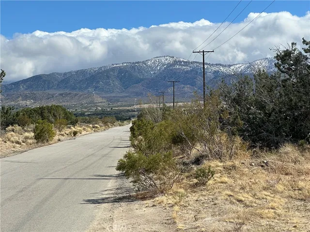 a view of a dry yard with wooden fence