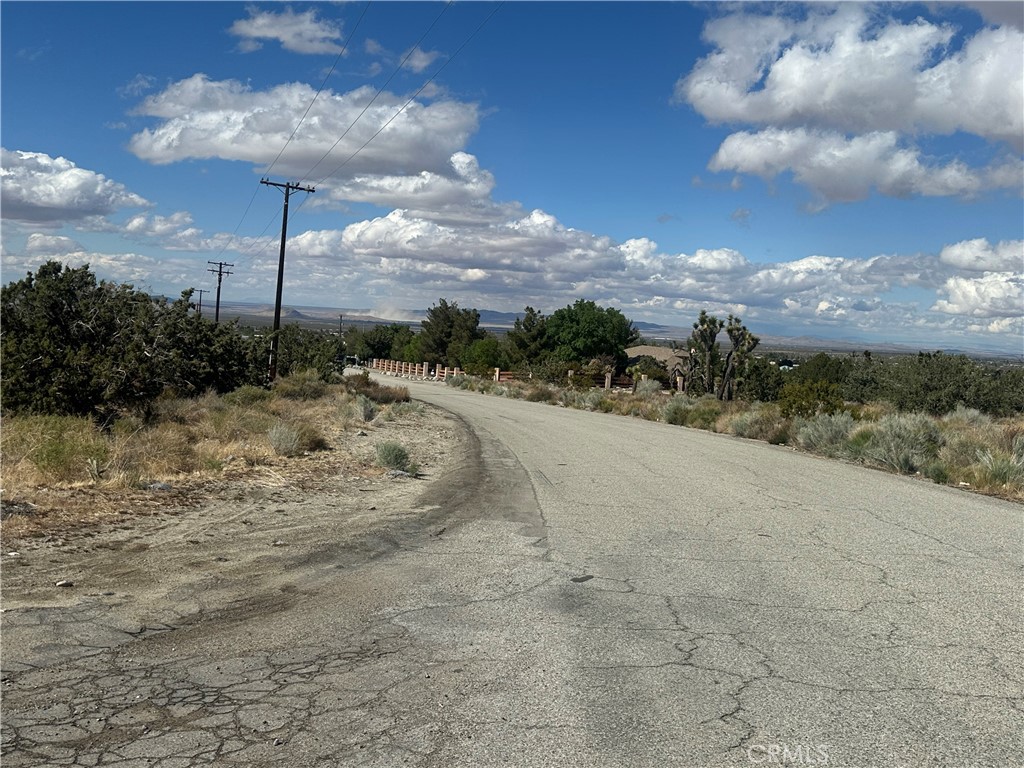 0 263rd Street East Llano, CA 93544 - Photo 7 of 14 a view of a dry yard